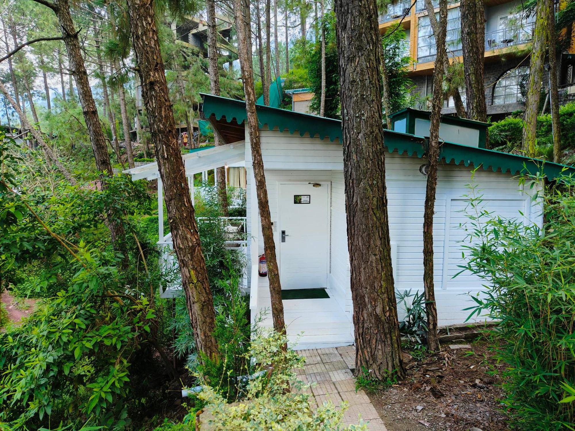 Kasauli Hills Resort Zewnętrze zdjęcie