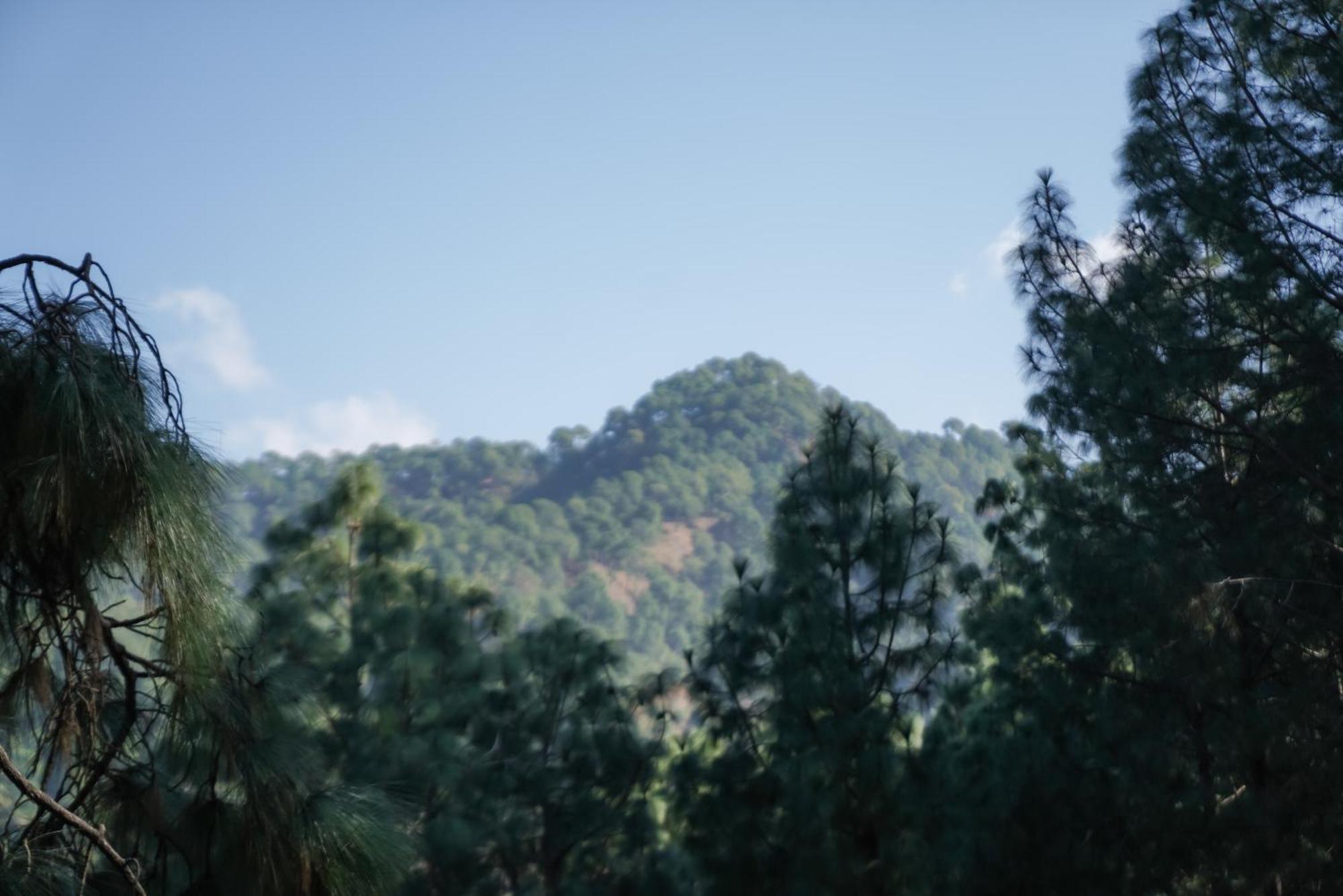 Kasauli Hills Resort Zewnętrze zdjęcie